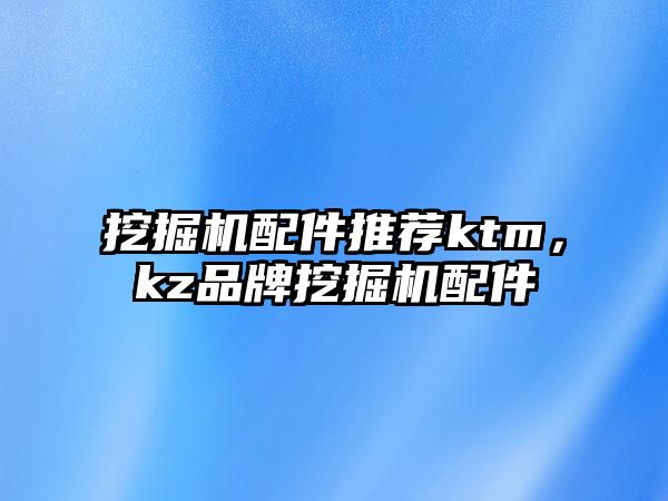 挖掘機配件推薦ktm，kz品牌挖掘機配件