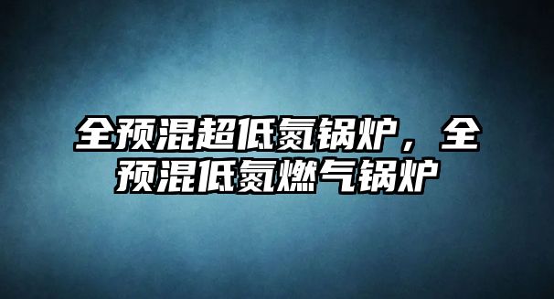 全預混超低氮鍋爐，全預混低氮燃氣鍋爐