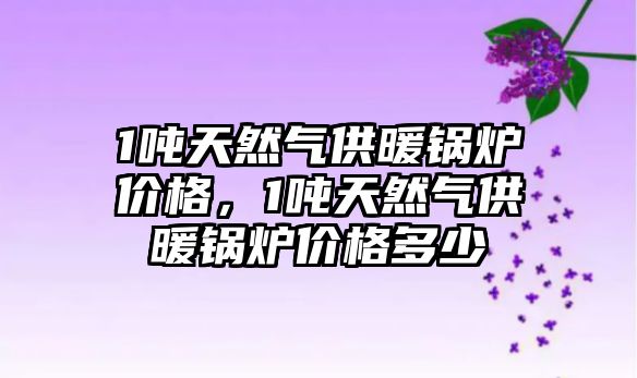 1噸天然氣供暖鍋爐價格，1噸天然氣供暖鍋爐價格多少