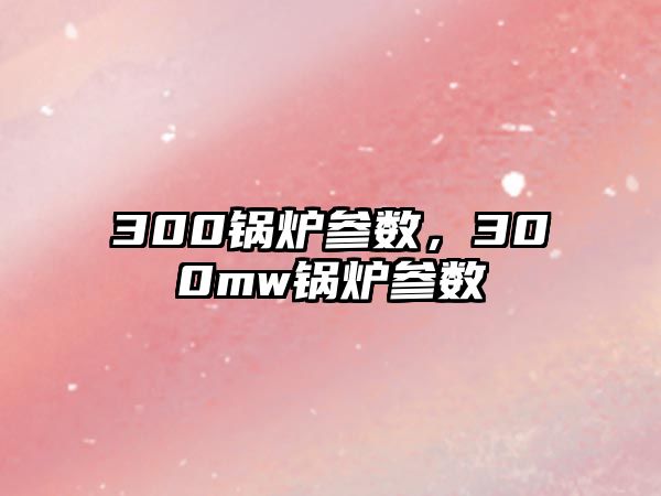 300鍋爐參數，300mw鍋爐參數