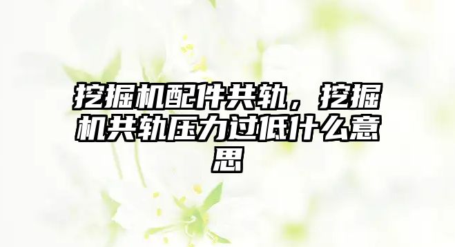 挖掘機配件共軌，挖掘機共軌壓力過低什么意思