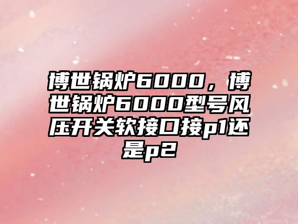 博世鍋爐6000，博世鍋爐6000型號風(fēng)壓開關(guān)軟接口接p1還是p2