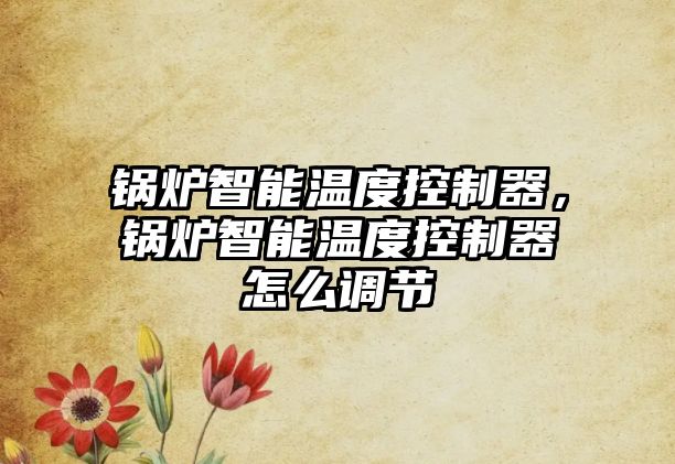 鍋爐智能溫度控制器，鍋爐智能溫度控制器怎么調節(jié)