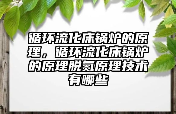 循環流化床鍋爐的原理，循環流化床鍋爐的原理脫氮原理技術有哪些