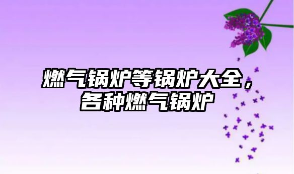 燃?xì)忮仩t等鍋爐大全，各種燃?xì)忮仩t