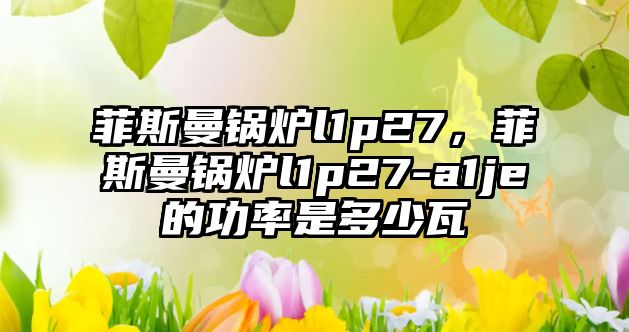 菲斯曼鍋爐l1p27，菲斯曼鍋爐l1p27-a1je的功率是多少瓦