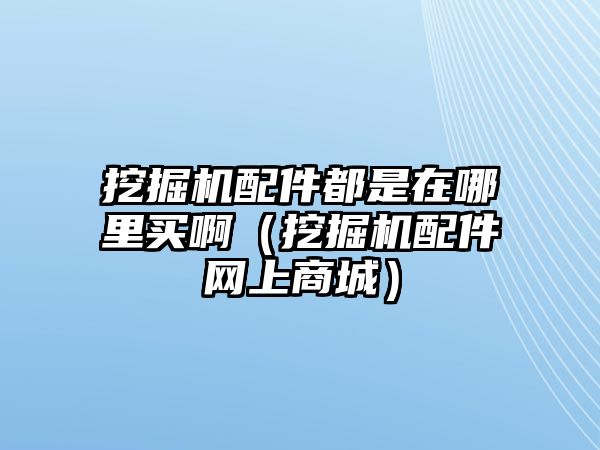 挖掘機配件都是在哪里買?。ㄍ诰驒C配件網上商城）