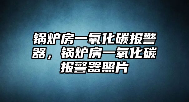 鍋爐房一氧化碳報(bào)警器，鍋爐房一氧化碳報(bào)警器照片