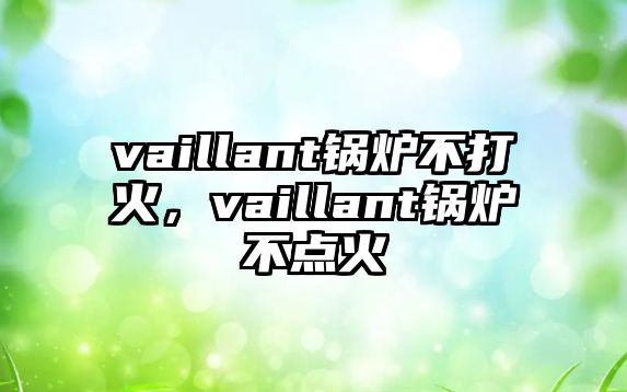 vaillant鍋爐不打火，vaillant鍋爐不點(diǎn)火