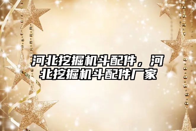 河北挖掘機斗配件，河北挖掘機斗配件廠家