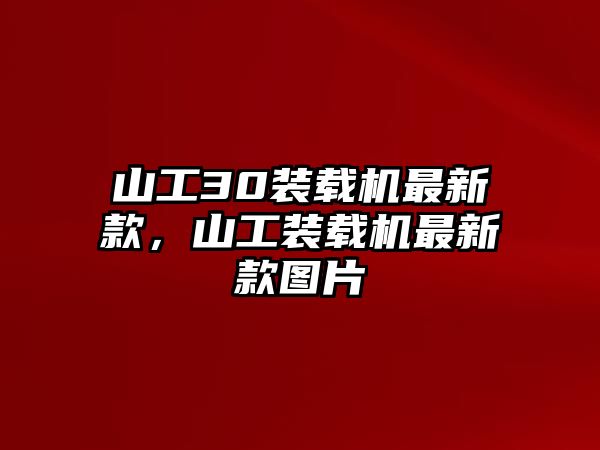 山工30裝載機最新款，山工裝載機最新款圖片