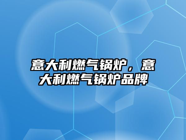 意大利燃?xì)忮仩t，意大利燃?xì)忮仩t品牌