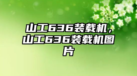 山工636裝載機，山工636裝載機圖片