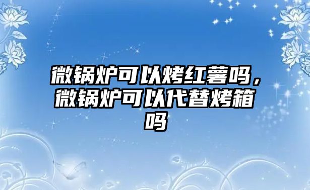 微鍋爐可以烤紅薯嗎，微鍋爐可以代替烤箱嗎