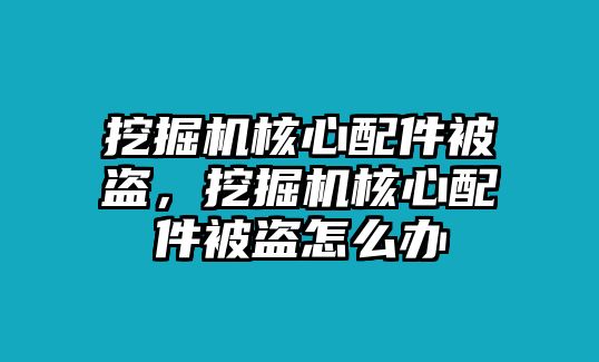 挖掘機(jī)核心配件被盜，挖掘機(jī)核心配件被盜怎么辦