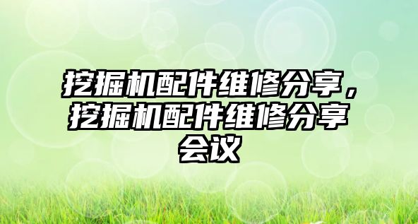 挖掘機配件維修分享，挖掘機配件維修分享會議