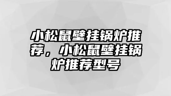 小松鼠壁掛鍋爐推薦，小松鼠壁掛鍋爐推薦型號