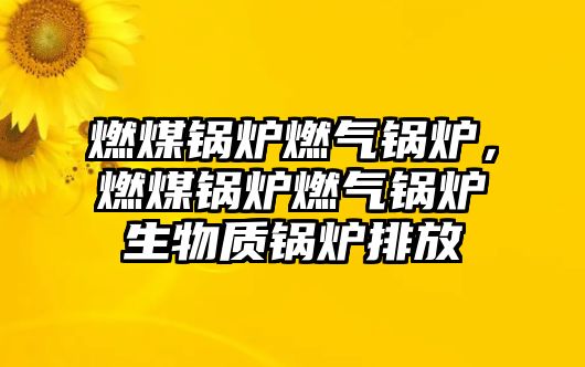 燃煤鍋爐燃氣鍋爐，燃煤鍋爐燃氣鍋爐生物質鍋爐排放