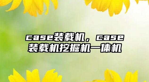 case裝載機，case裝載機挖掘機一體機