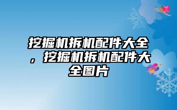 挖掘機拆機配件大全，挖掘機拆機配件大全圖片