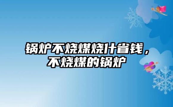 鍋爐不燒煤燒什省錢，不燒煤的鍋爐