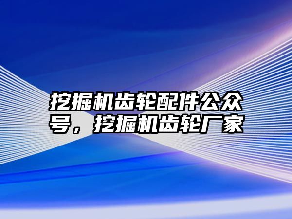 挖掘機齒輪配件公眾號，挖掘機齒輪廠家