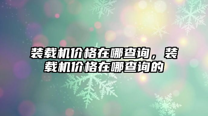 裝載機價格在哪查詢，裝載機價格在哪查詢的