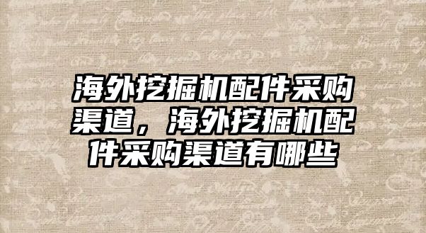 海外挖掘機配件采購渠道，海外挖掘機配件采購渠道有哪些