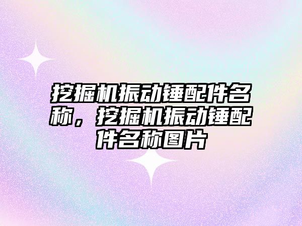 挖掘機振動錘配件名稱，挖掘機振動錘配件名稱圖片