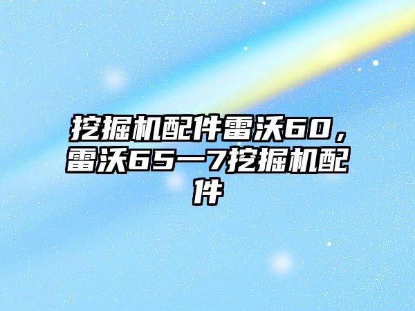 挖掘機(jī)配件雷沃60，雷沃65一7挖掘機(jī)配件