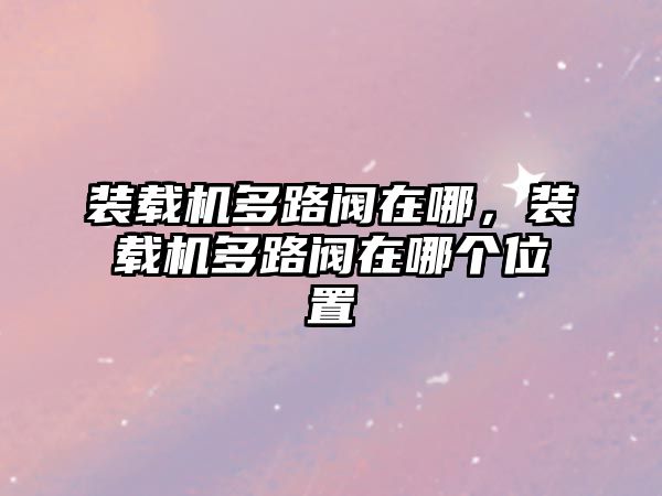 裝載機多路閥在哪，裝載機多路閥在哪個位置