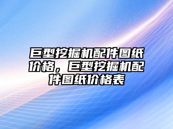 巨型挖掘機配件圖紙價格，巨型挖掘機配件圖紙價格表