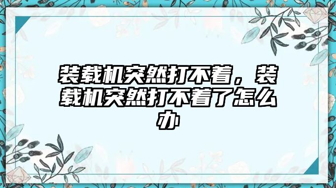 裝載機(jī)突然打不著，裝載機(jī)突然打不著了怎么辦