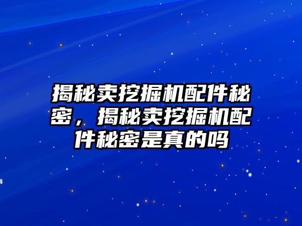 揭秘賣挖掘機配件秘密，揭秘賣挖掘機配件秘密是真的嗎