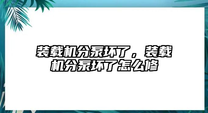 裝載機分泵壞了，裝載機分泵壞了怎么修