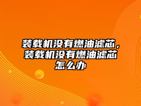 裝載機(jī)沒(méi)有燃油濾芯，裝載機(jī)沒(méi)有燃油濾芯怎么辦