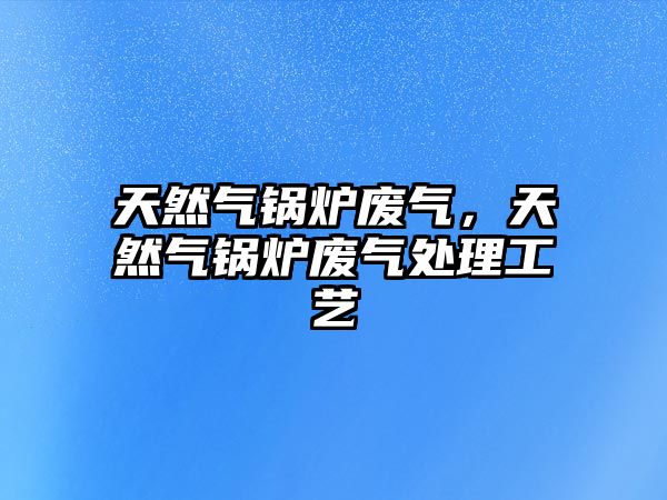 天然氣鍋爐廢氣，天然氣鍋爐廢氣處理工藝