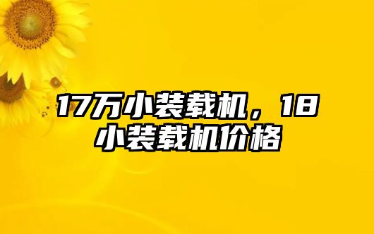 17萬小裝載機(jī)，18小裝載機(jī)價格