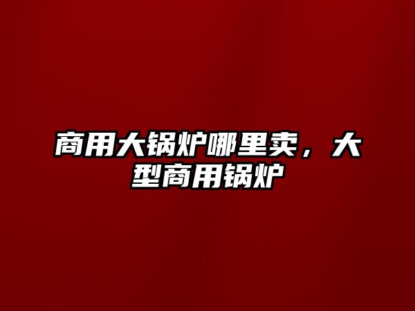 商用大鍋爐哪里賣，大型商用鍋爐