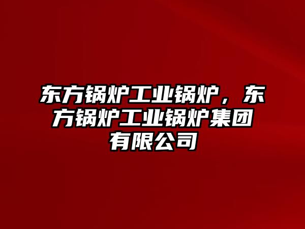 東方鍋爐工業鍋爐，東方鍋爐工業鍋爐集團有限公司