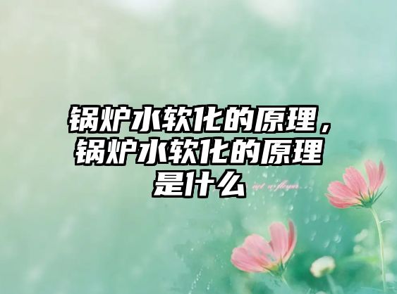 鍋爐水軟化的原理，鍋爐水軟化的原理是什么