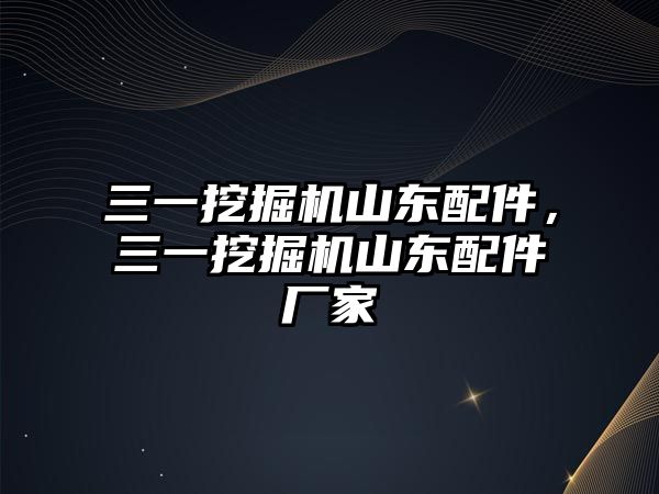 三一挖掘機山東配件，三一挖掘機山東配件廠家