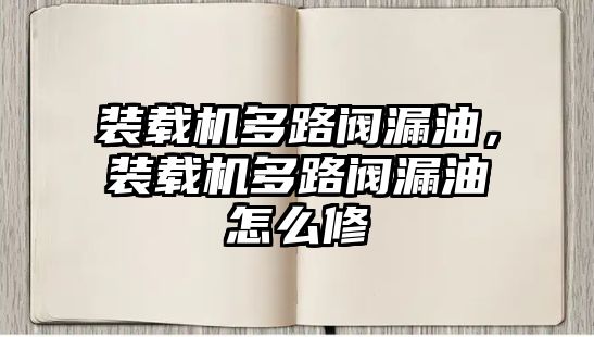 裝載機多路閥漏油，裝載機多路閥漏油怎么修