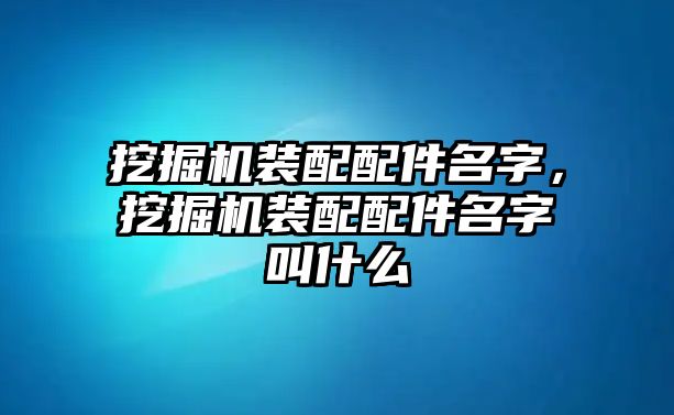 挖掘機(jī)裝配配件名字，挖掘機(jī)裝配配件名字叫什么