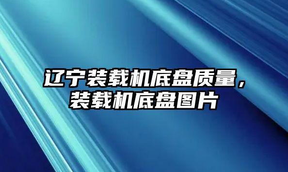 遼寧裝載機底盤質量，裝載機底盤圖片