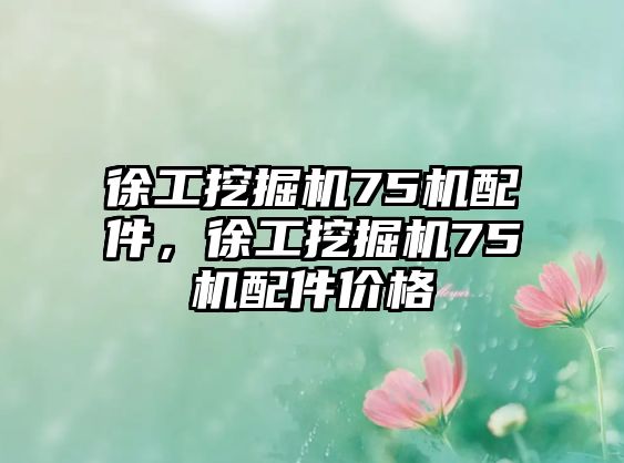 徐工挖掘機(jī)75機(jī)配件，徐工挖掘機(jī)75機(jī)配件價(jià)格