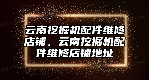 云南挖掘機配件維修店鋪，云南挖掘機配件維修店鋪地址