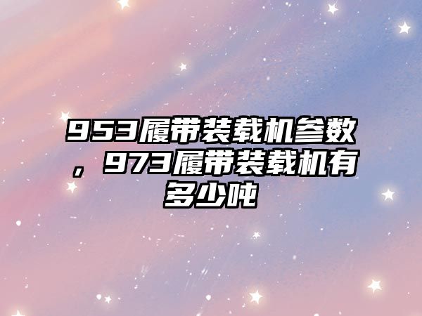 953履帶裝載機參數，973履帶裝載機有多少噸