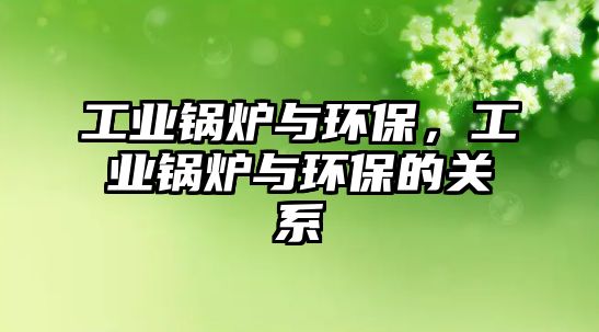 工業鍋爐與環保，工業鍋爐與環保的關系