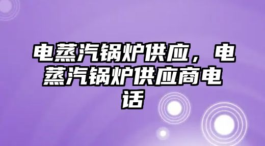 電蒸汽鍋爐供應，電蒸汽鍋爐供應商電話